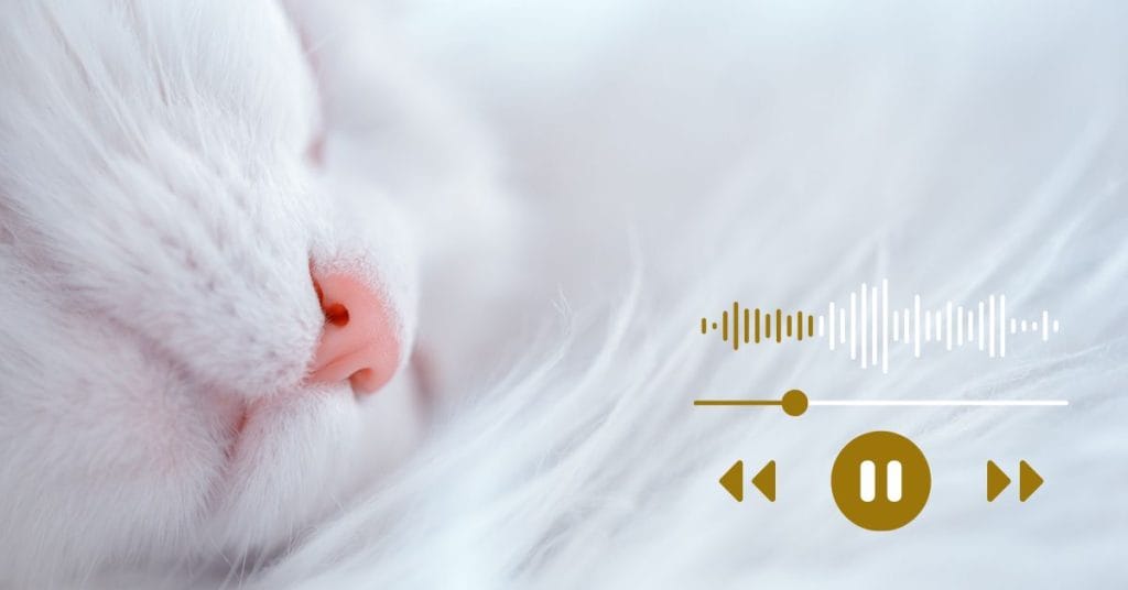 Meditación dormir